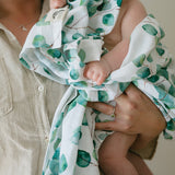 Organic Swaddle in Eucalyptus