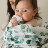 Organic Swaddle in Eucalyptus