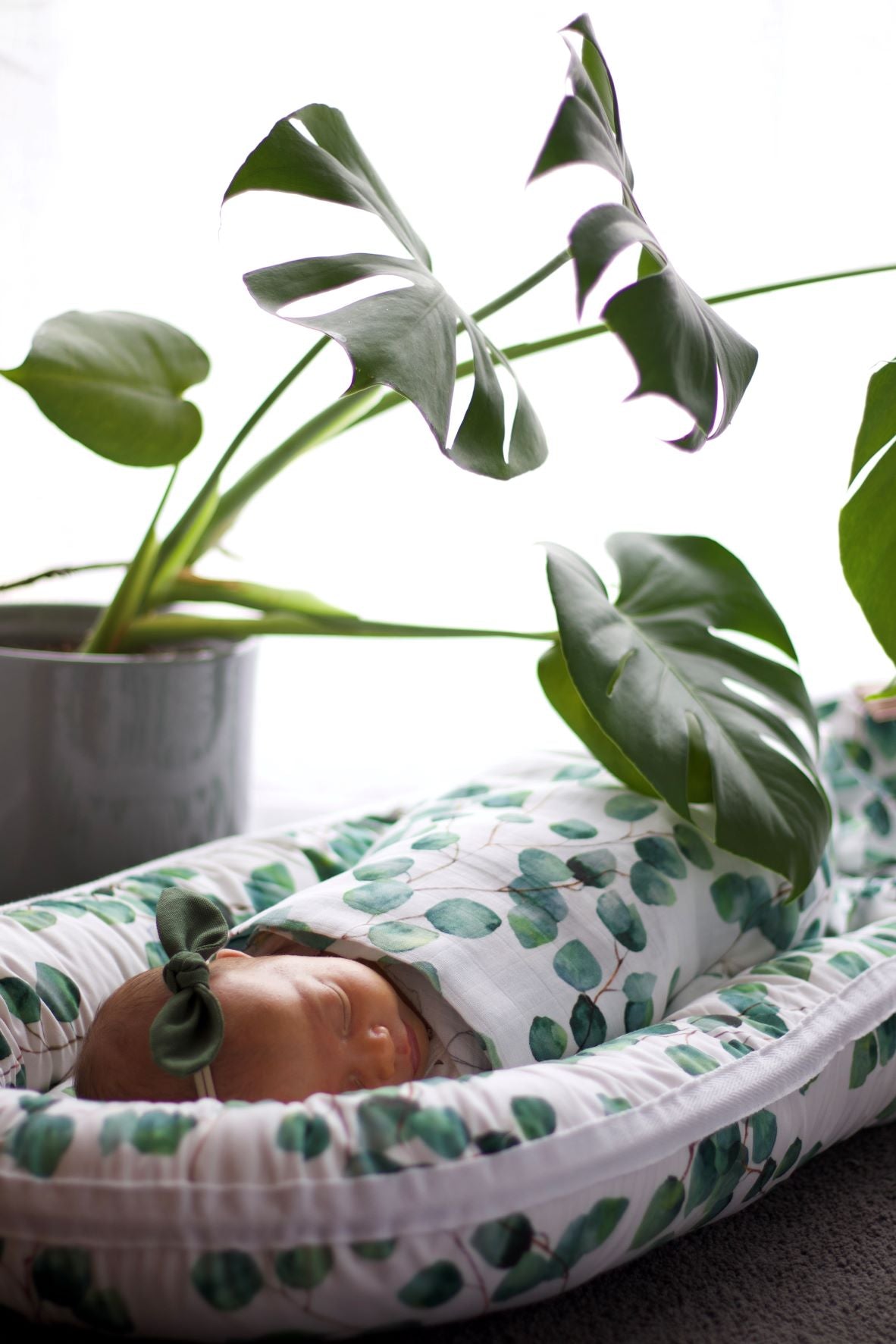 Organic Baby Nest - Eucalyptus